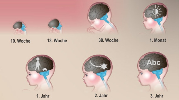 mit-einem-klick-auf-das-bild-kommen-sie-