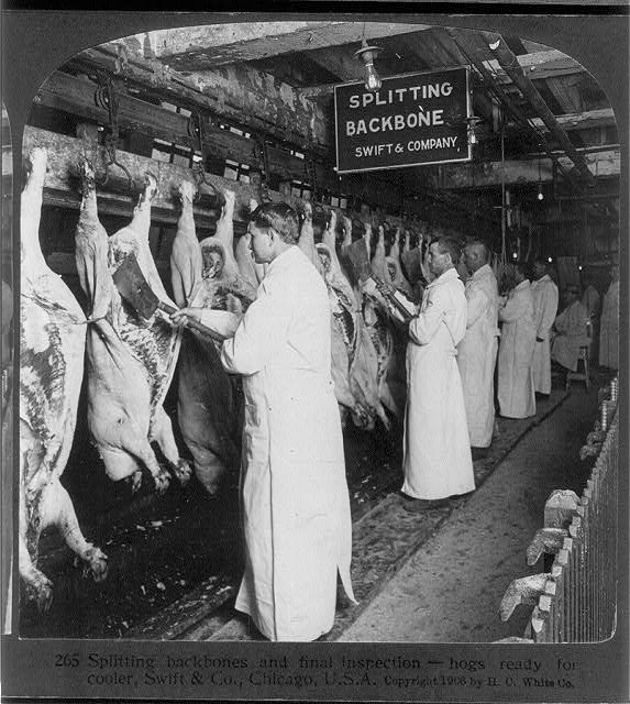 chicago meat inspection swift co 1906