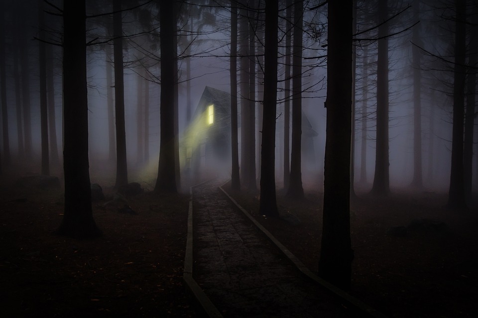 Wooden-Haunted-Trees-Forest-Spooky-Mist-