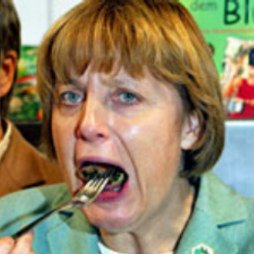 merkel4.0