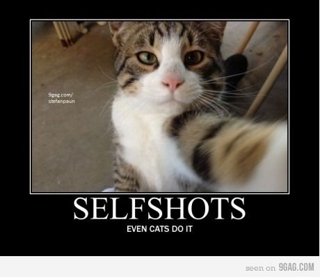 Bilder-Thread tumblr m09h1jKET11qkaa8zo1 500.jpg.pages