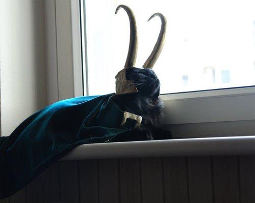 Bilder-Thread tumblr m741rc2unC1qhq1pjo1 500