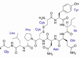 675531 chemie