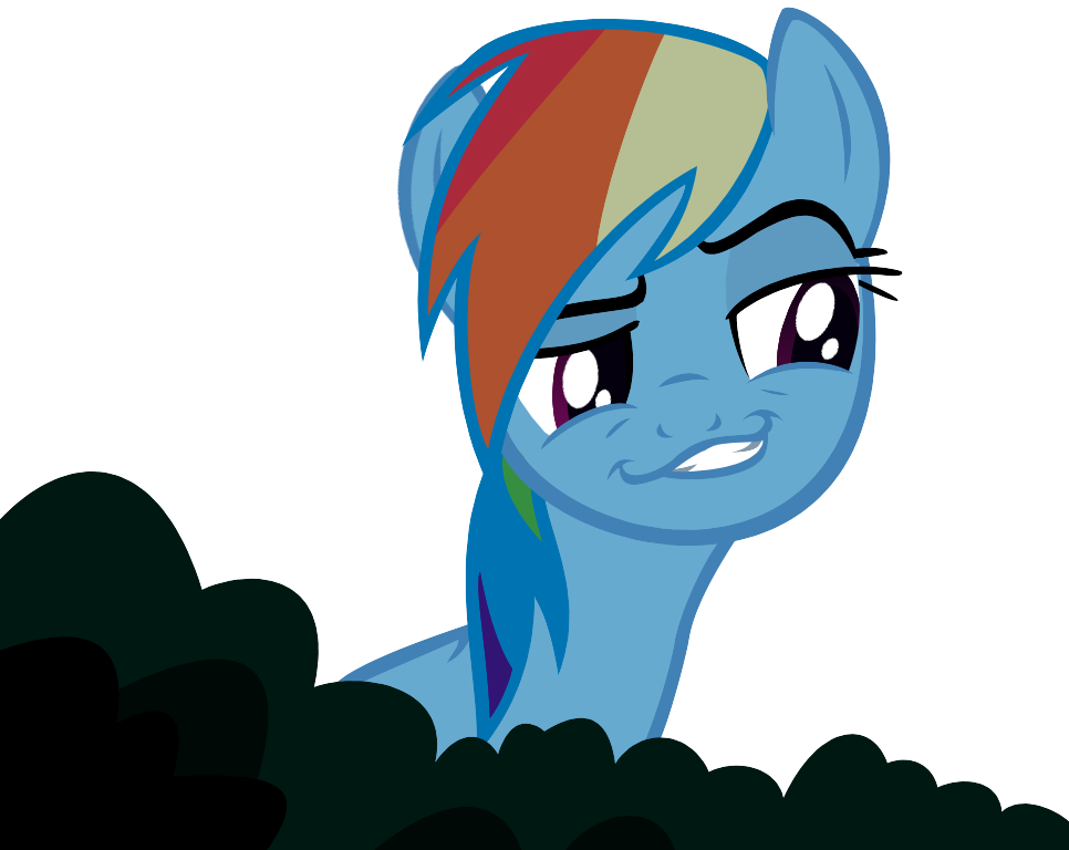 rainbow dash rape face by veronica29pl-d