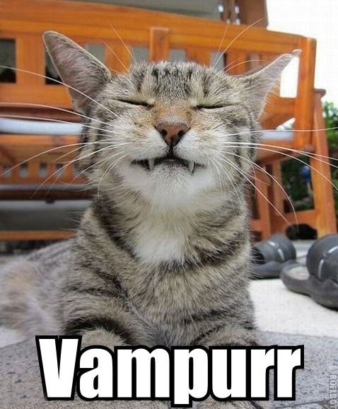 Bilder-Thread Still-a-better-vampire-than-Edward-Culle