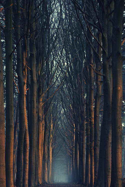 Bilder-Thread tumblr mkk98kNAFL1qm0as8o1 500