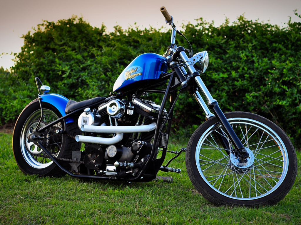 Bilder-Thread blue-harley