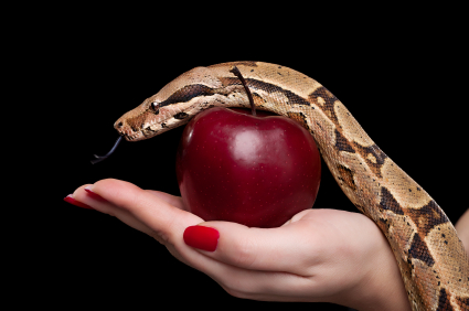 apple-snake