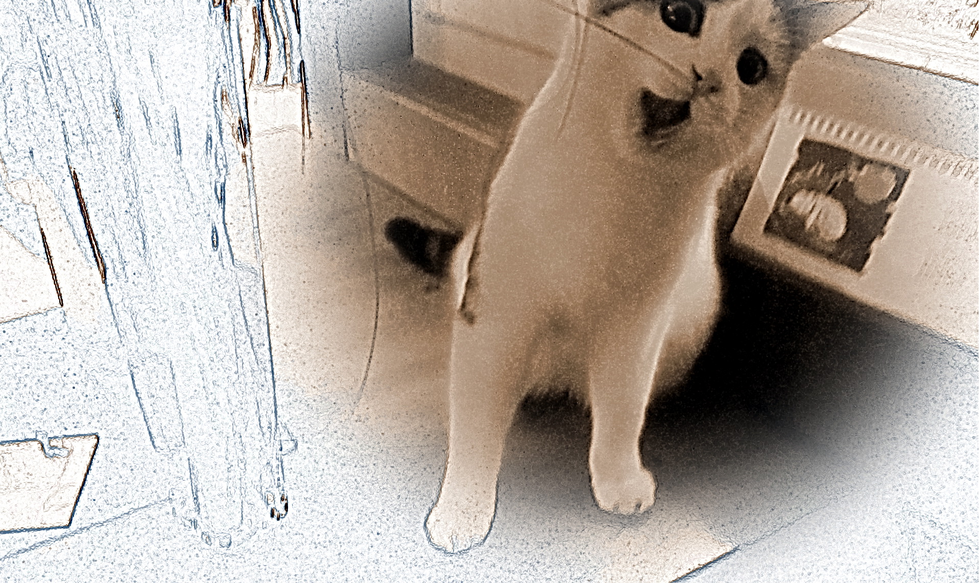 Bilder-Thread tg1LnHZ 9teWF4 IMG 0812a