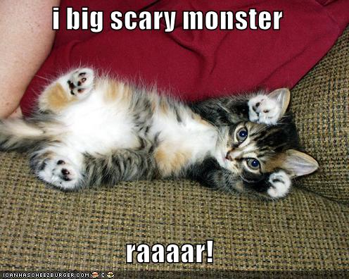 Bilder-Thread tgF8KJG funny-pictures-cute-fierce-kitten