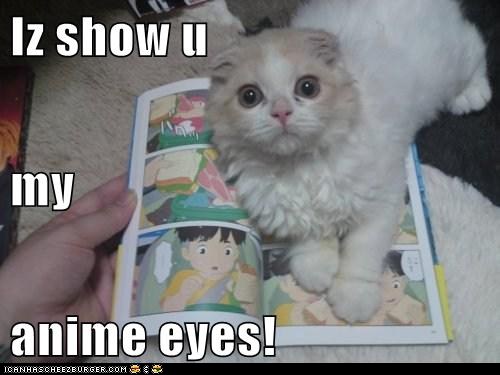 Bilder-Thread tgjnCMM funny-pictures-iz-show-u-my-anime-eyes