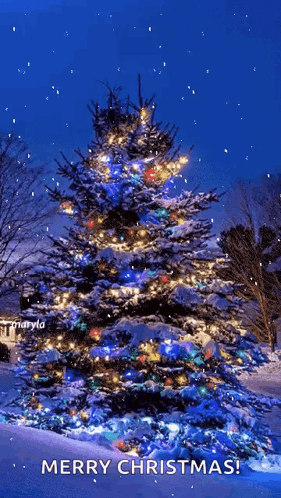 snow-christmastree
