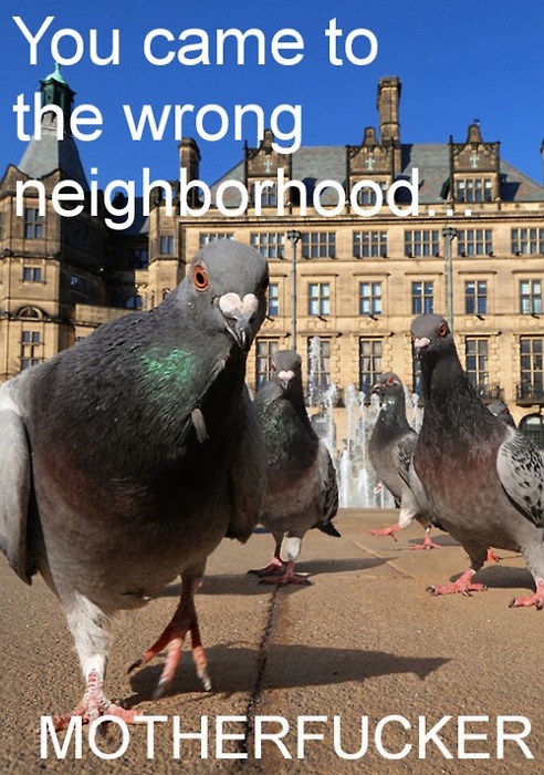 Bilder-Thread tgyHlHS tumblr lsjk3a9C6z1r42qhmo1 500