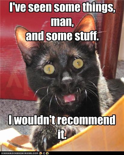 Bilder-Thread th8w7GS funny-pictures-ive-seen-some-things-man-