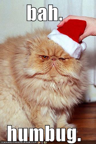 funny-pictures-bah-humbug-cat
