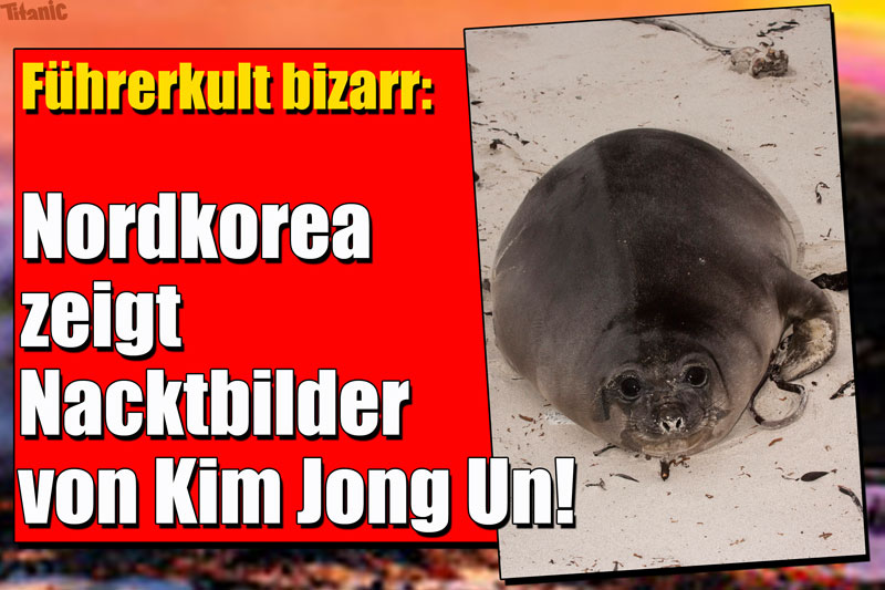 Kim-Jong-Un-nackt
