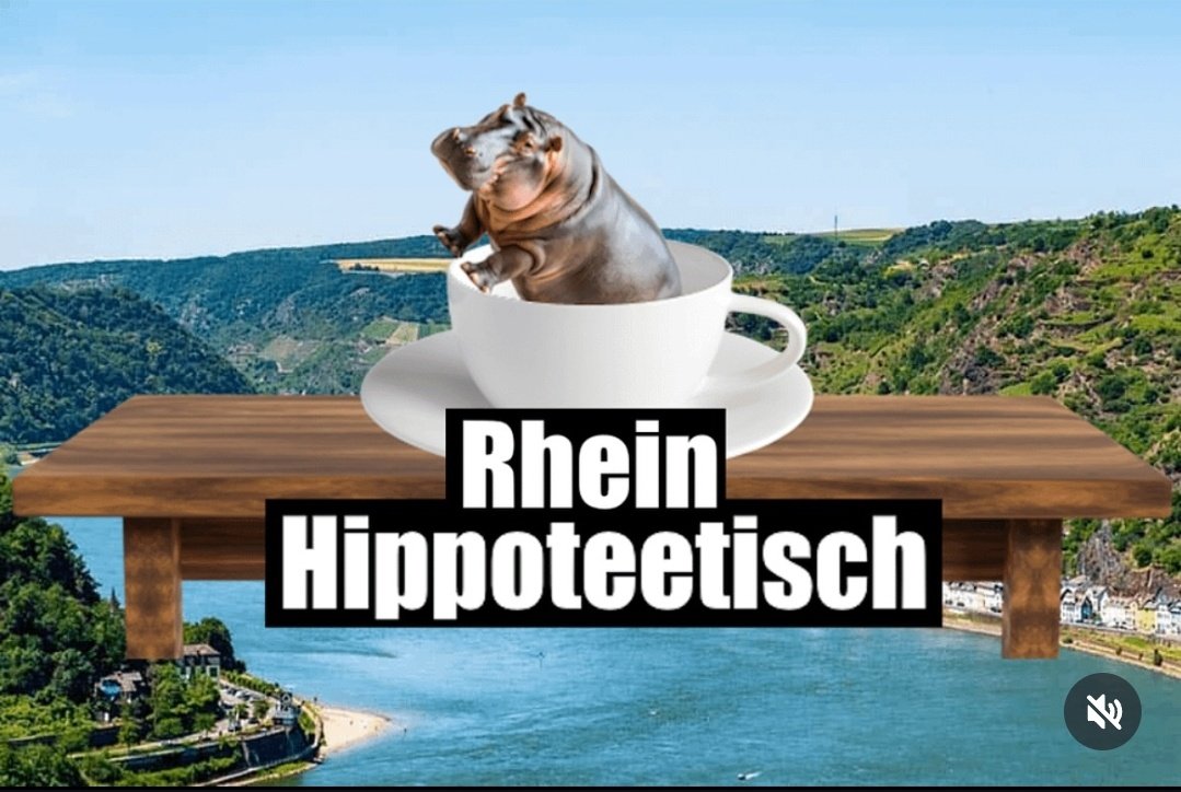 nilpferde im rhein - Copy