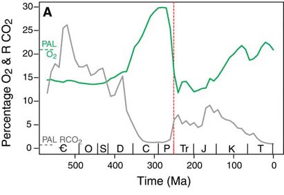 PhanerozoicOxygen