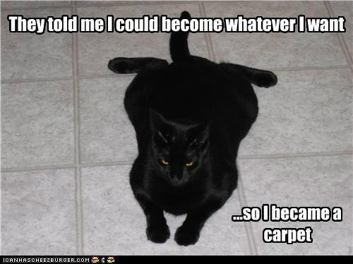 Bilder-Thread tjRz2nr funny-pictures-they-told-me-i-could-beco