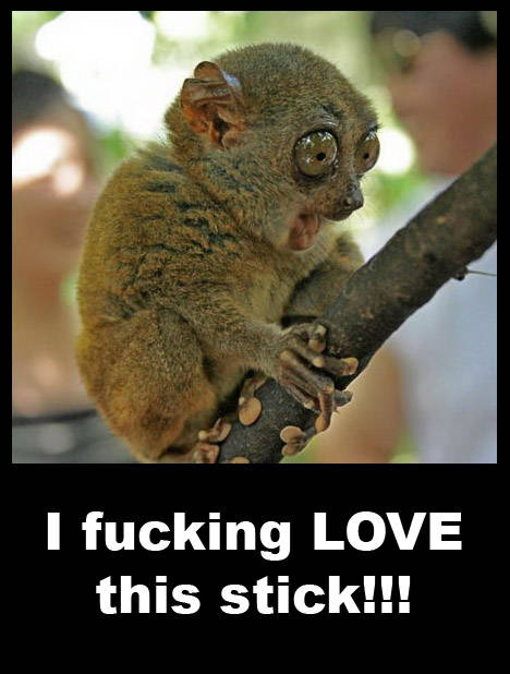 Bilder-Thread tjhpxBR Random-Funny-Photos-Part-133 6