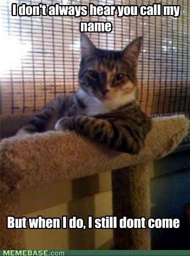 Bilder-Thread tjmbDlc memes-i-dont-always-hear-you-call-my-nam