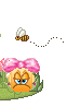 oie overlay