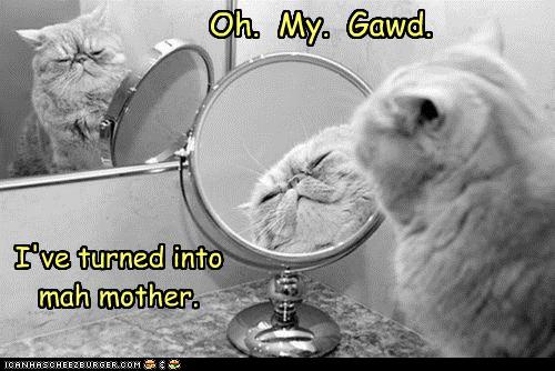 Bilder-Thread tk8pYaS funny-pictures-oh-my-gawd