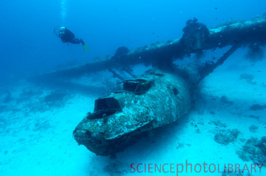 T7100317-Catalina plane wreck-SPL