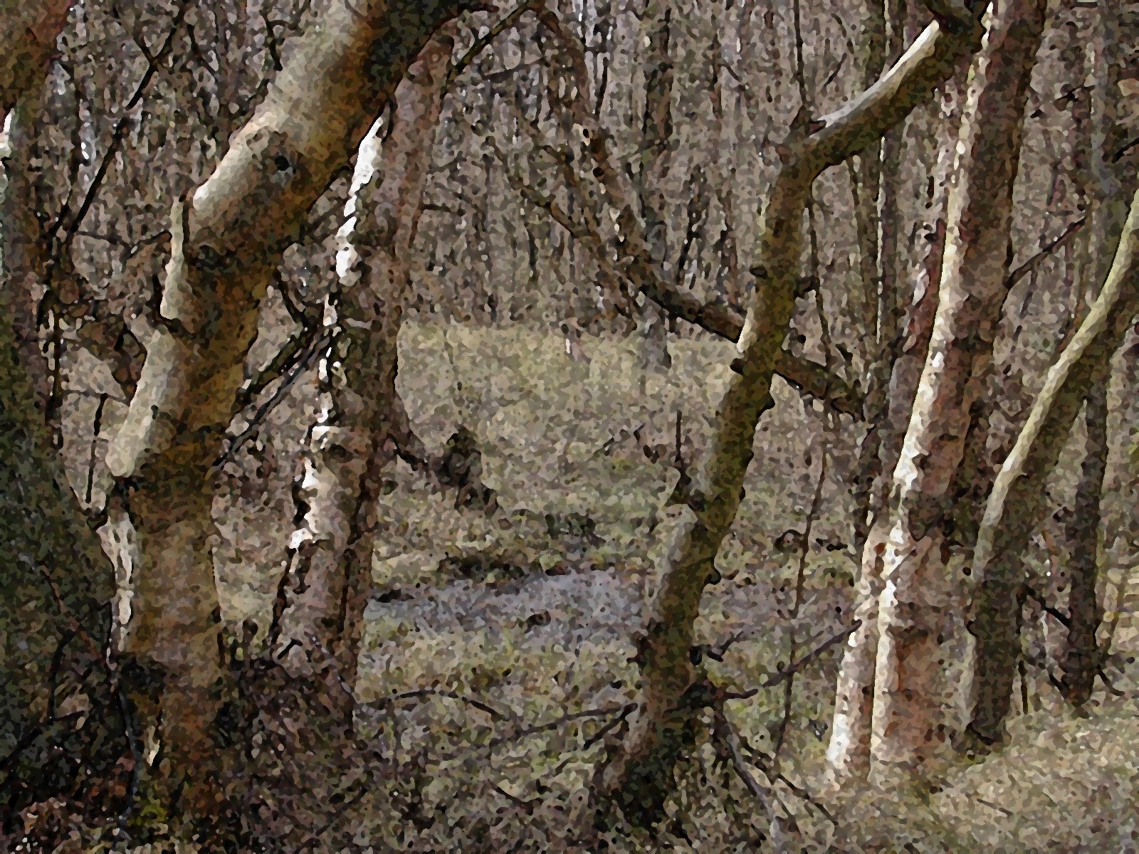 Bilder-Thread tkqO9SK brabaker sumpf