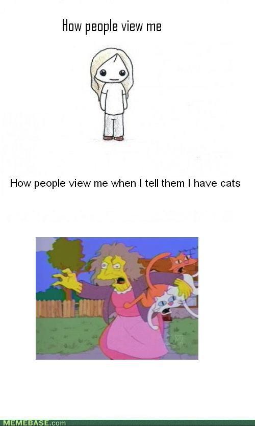 Bilder-Thread memes-crazy-cat-lady