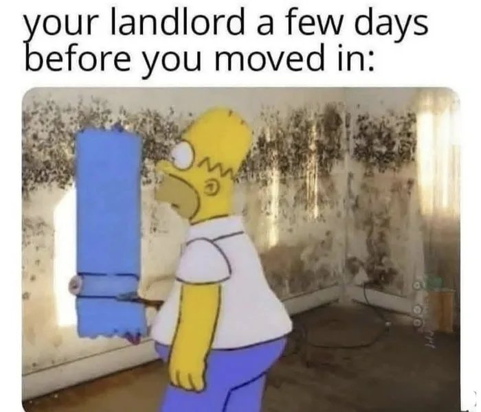 1000033496