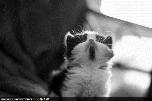 Bilder-Thread tli2mCg f777c5fc-9bfc-4331-8635-1c8dc7474249