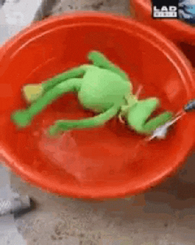 giphy