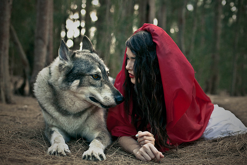 Bilder-Thread tm4MHZN aO4lqx tumblr lu66qqRcVE1qdkjypo1 500