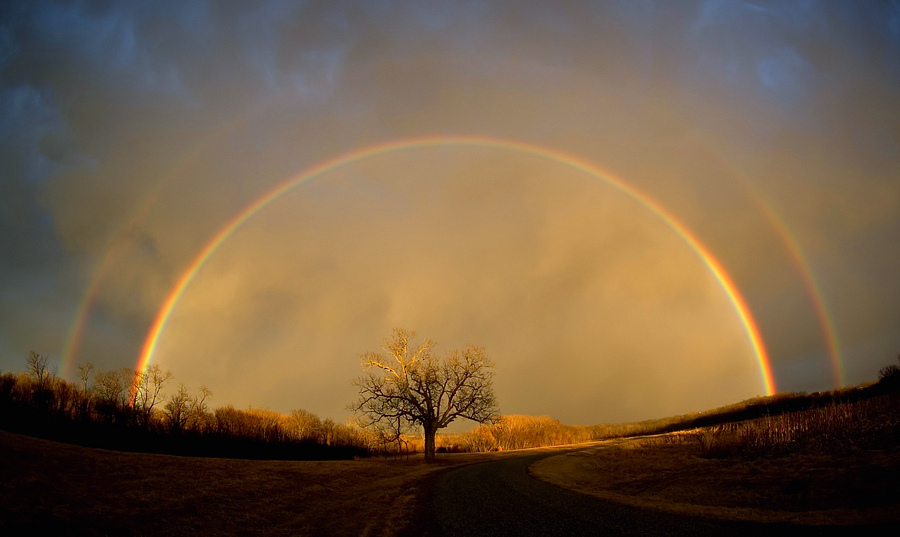 Der Bildbewertungsthread tm5Kpwv mgTTF9 rainbow