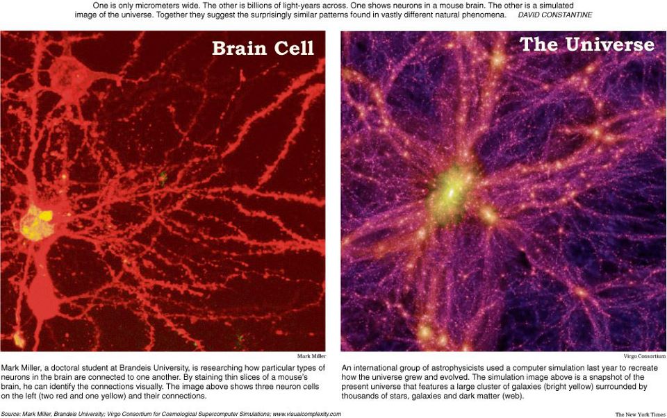 Universum-Gehirnzelle