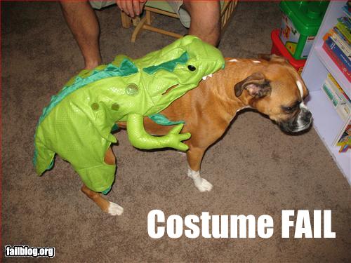 Bilder-Thread tm8m3B3 epic-fail-costume-fail