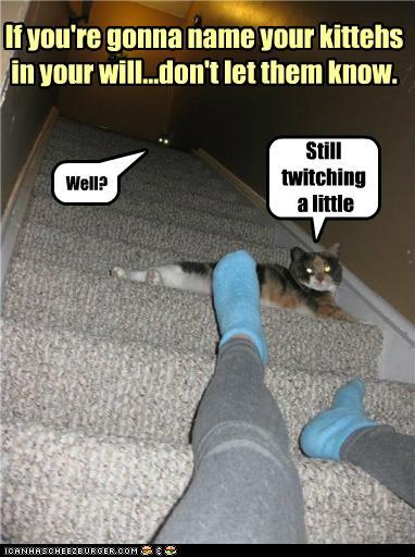 Bilder-Thread tmBGCsH funny-pictures-if-youre-gonna-name-your-