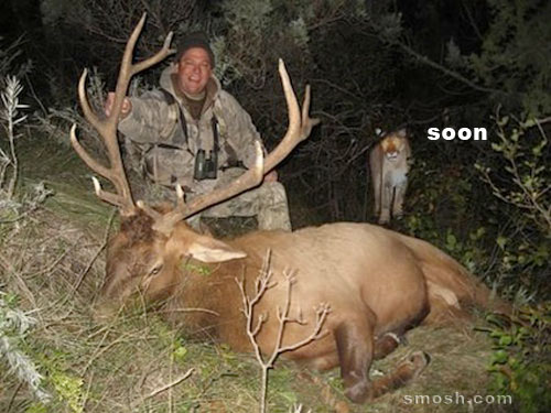 Bilder-Thread tmGLnuY soon-deer