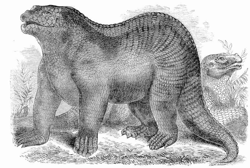 -iguanodon