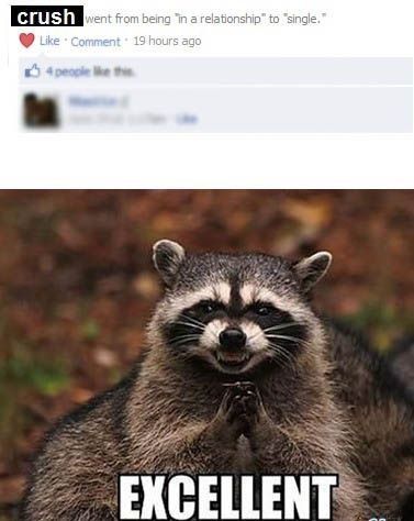 Bilder-Thread rQquvF tumblr m0wefrz21J1ql6eeko1 400