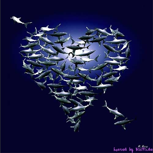 9822 liebe