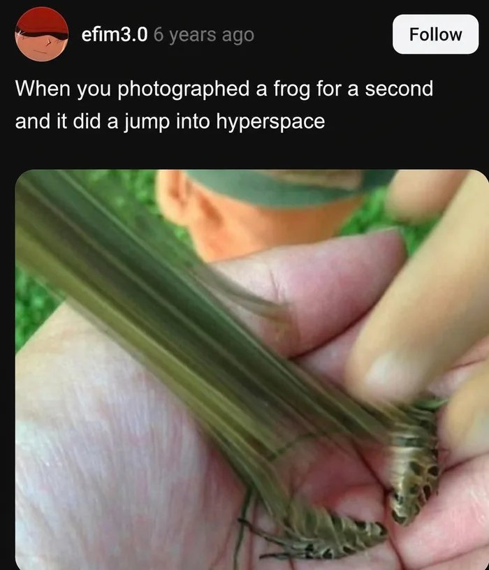 1000032636