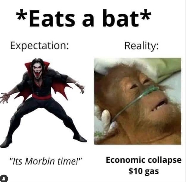 eats-a-bat-expectations-vs-reality-meme