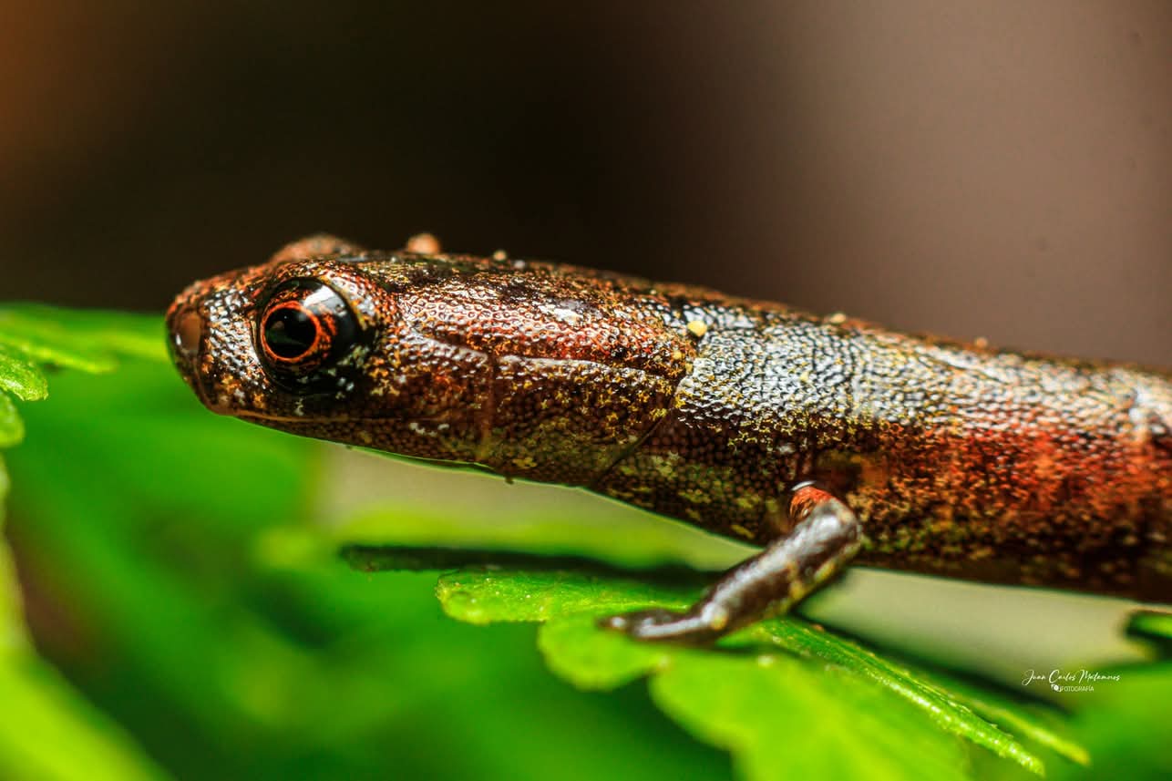 FB IMG 1764512669800