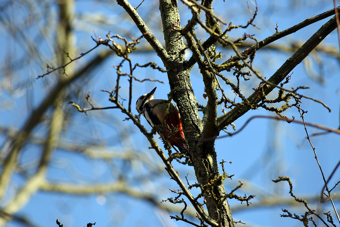 2f743b62-27c8-4ecf-9e94-6fd1fa9a488e