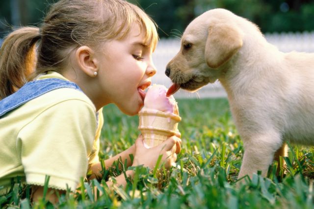 Bilder-Thread toTbUut animals vs humans 640 00
