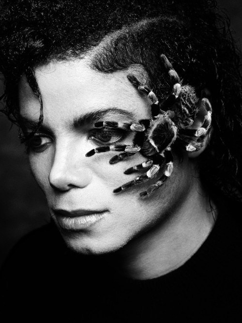 Michael-michael-jackson-22255650-500-667