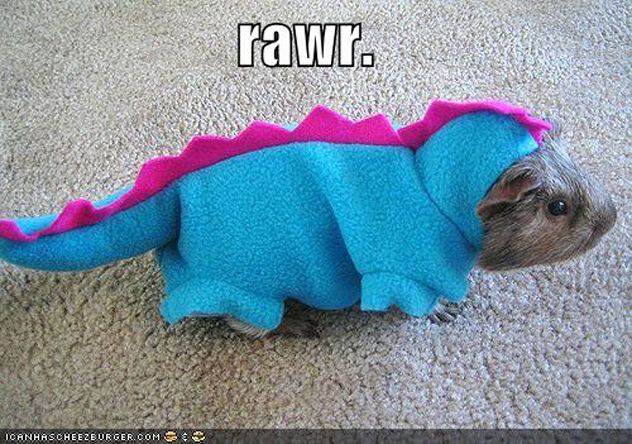 Bilder-Thread tpAnqeS rawr
