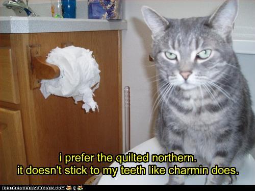 Bilder-Thread tpNqQd5 funny-pictures-i-prefer-the-quilted-nort